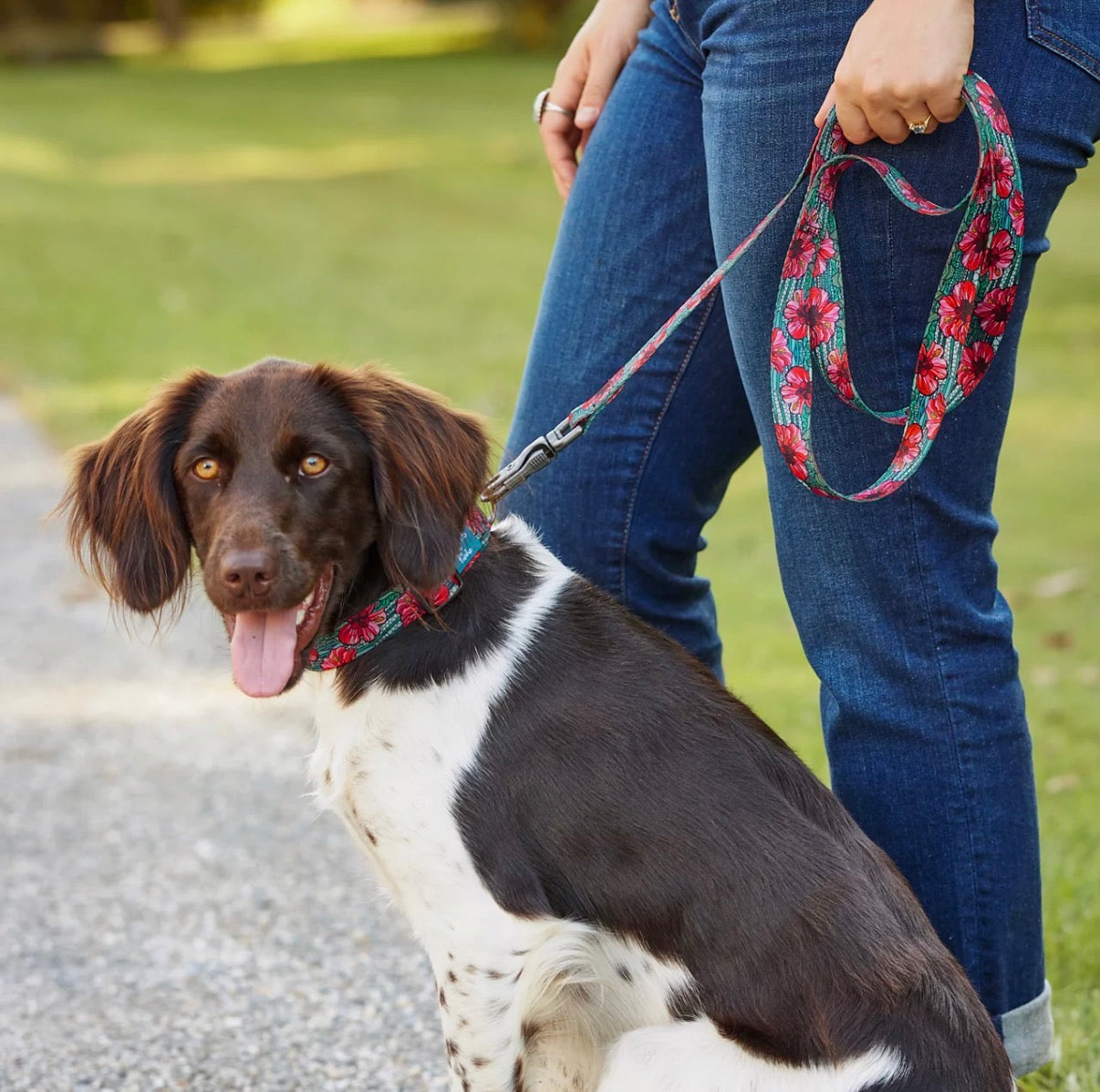 X Fishe Wear Dog Leash - SALE