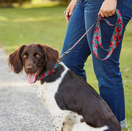 X Fishe Wear Dog Leash - SALE