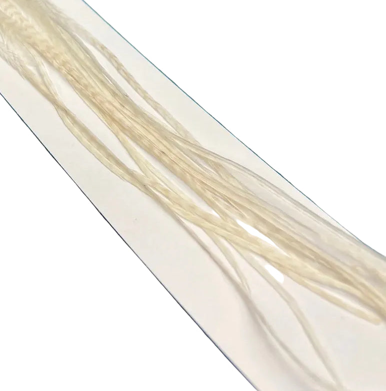 SALE - Whiting 100 Pack