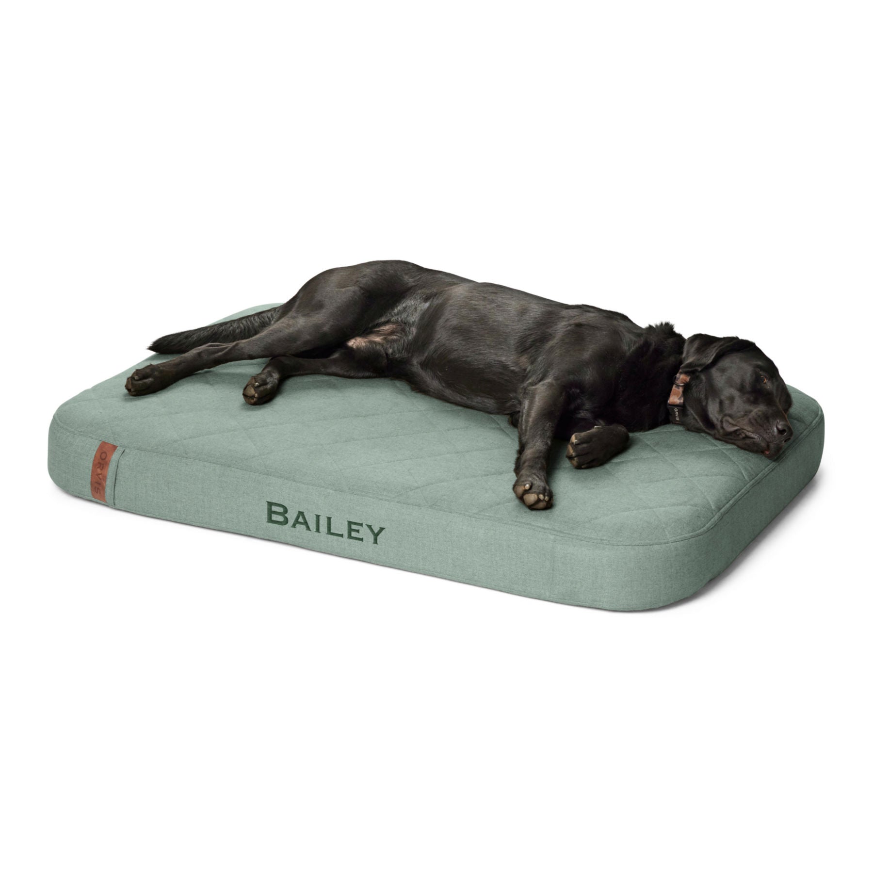 Orvis RecoveryZone Lounger Dog Bed Wasabi XL