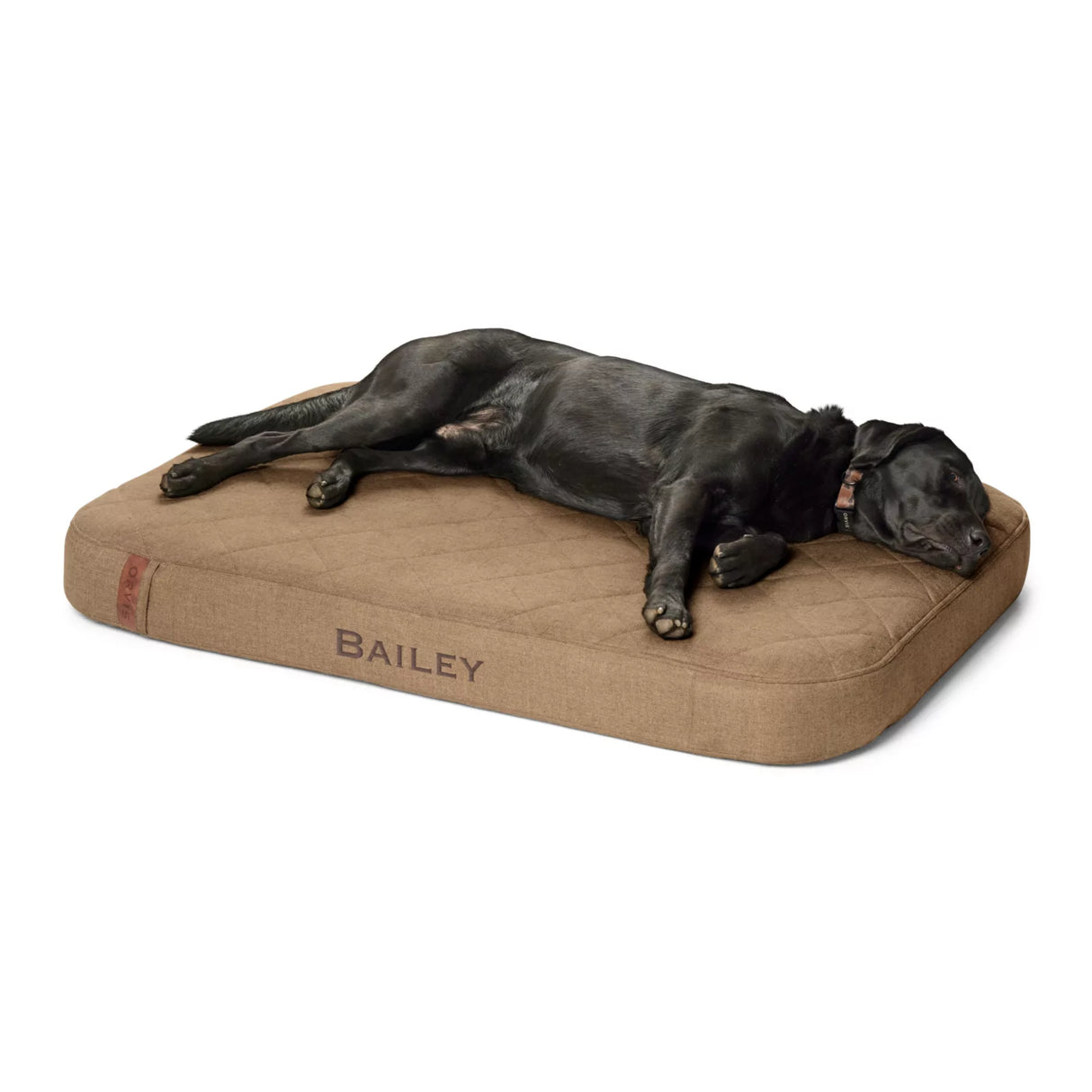 RecoveryZone® Lounger Dog Bed