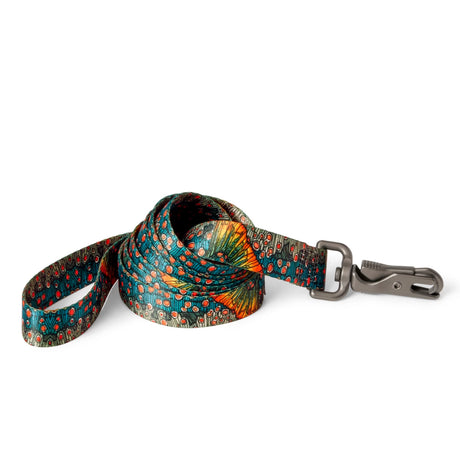 Orvis X Fishe Dog Leash