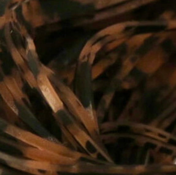 Barred and Speckled Crazy Legs