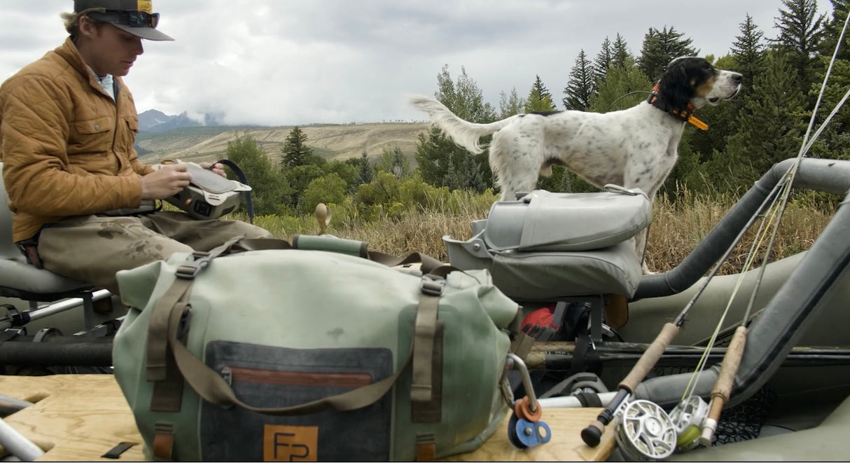 Salty Dog Collar