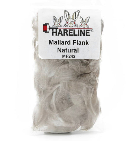 Mallard Flank