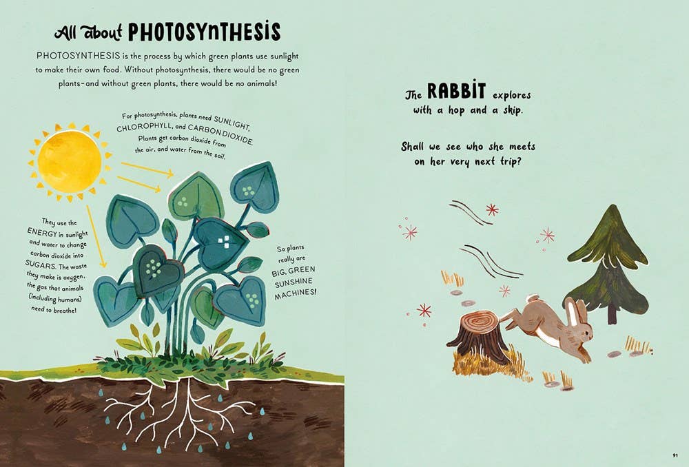 '5-Minute Nature Stories' by Gabby Dawnay
