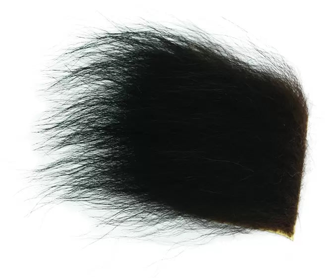 Black Bear