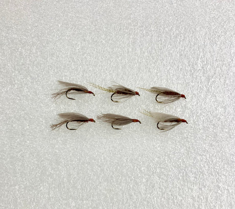 Red Quill Wet - 1/2 dozen