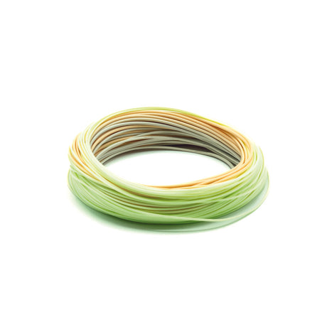 Amplitude Smooth Infinity Plus