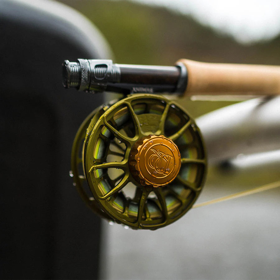 Ross Animas Reels