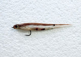 Baby Brown Trout #4