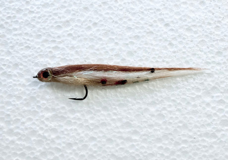 Baby Brown Trout #4