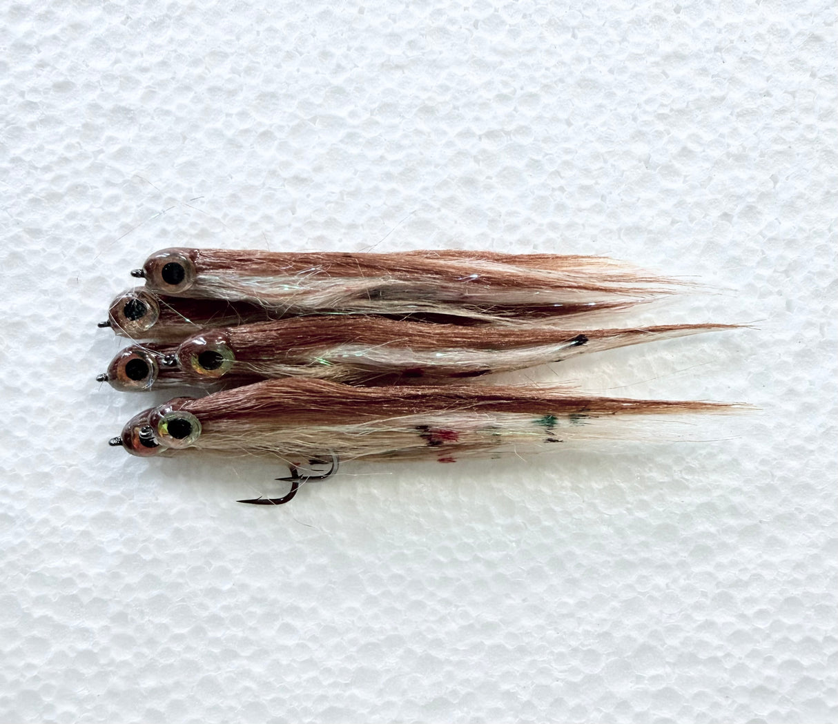 Baby Brown Trout #4