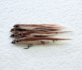 Baby Brown Trout #4