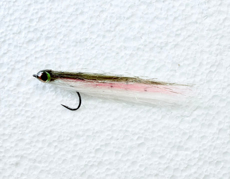 Baby Rainbow Trout #4