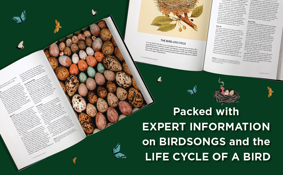 'Backyard Birdwatcher's Bible' by Paul Sterry....