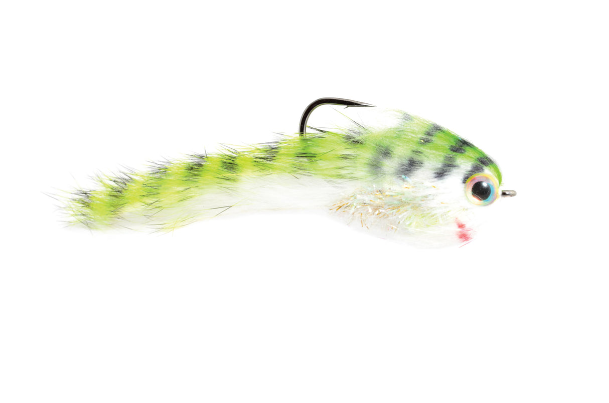 Belly Scratcher Minnow
