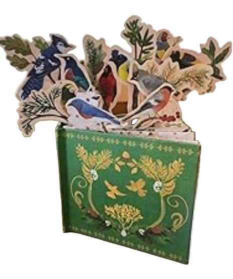 'Birds in a Book' (Uplifting Editions) by Lesley Earle & Rachel Grant