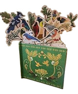 'Birds in a Book' (Uplifting Editions) by Lesley Earle & Rachel Grant