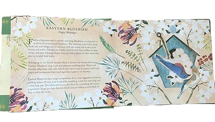 'Birds in a Book' (Uplifting Editions) by Lesley Earle & Rachel Grant