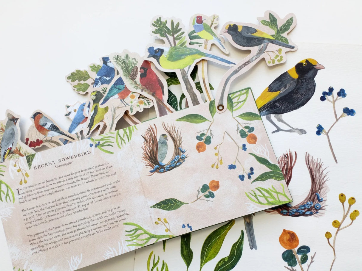 'Birds in a Book' (Uplifting Editions) by Lesley Earle & Rachel Grant