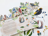 'Birds in a Book' (Uplifting Editions) by Lesley Earle & Rachel Grant