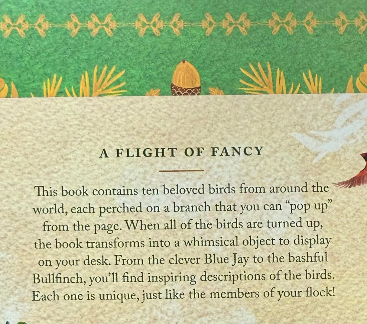 'Birds in a Book' (Uplifting Editions) by Lesley Earle & Rachel Grant