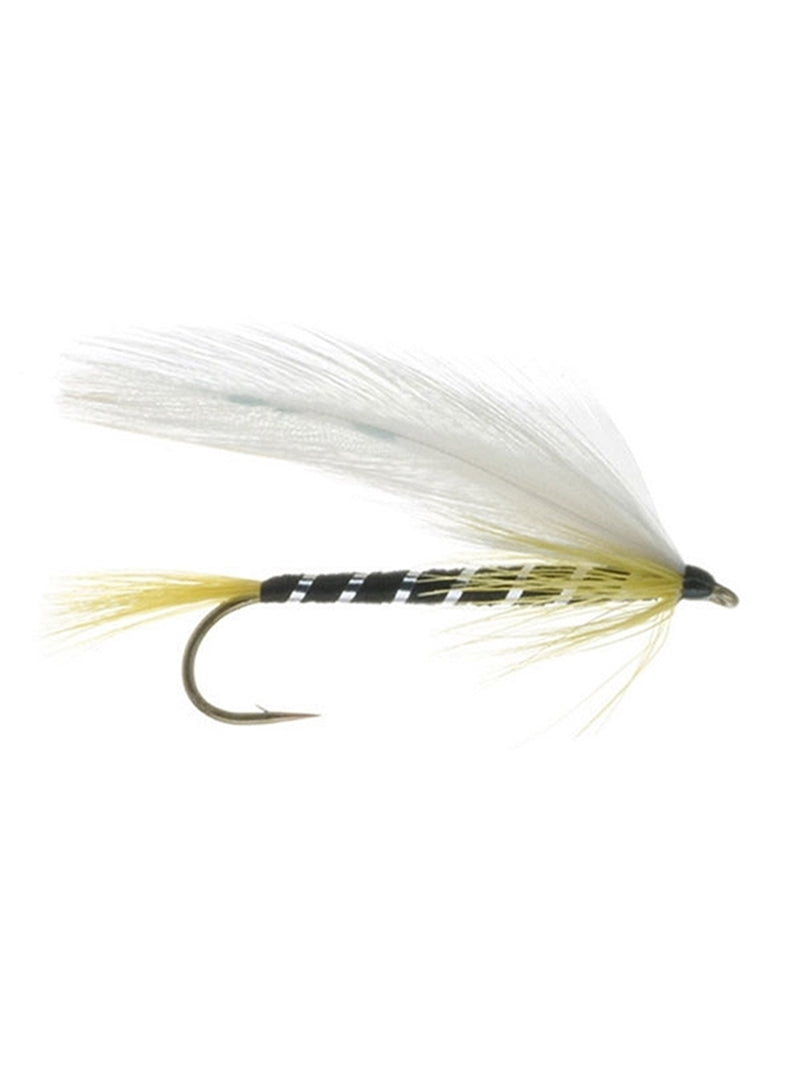 Black Ghost