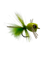 Bream Popper