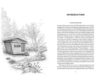 'Cabin' by Will Jones