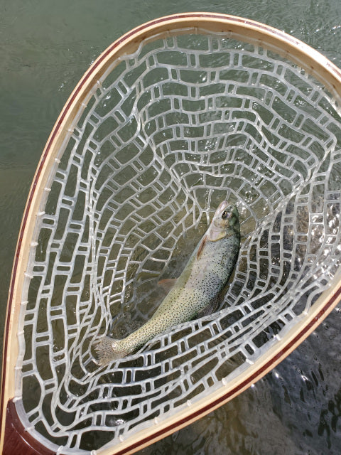 Catch & Release Landing Net - w/ Cross Current Outfitters Logo