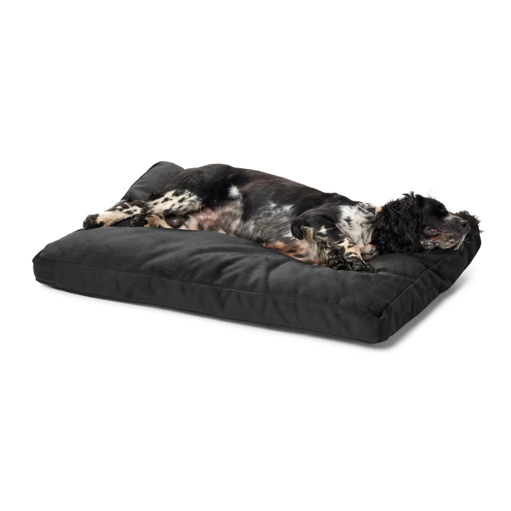 ComfortFill-Eco™ ToughChew® Lounger Dog Bed