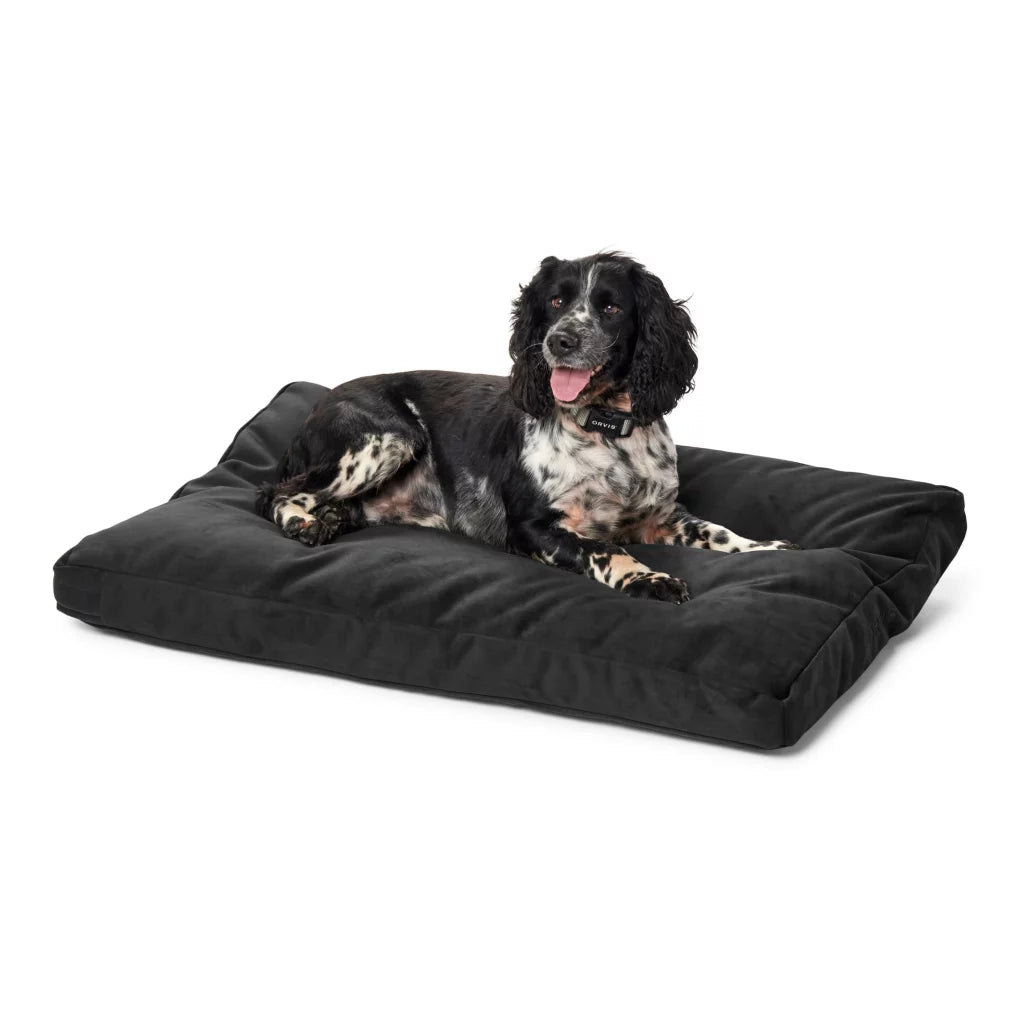 Orvis platform dog bed best sale