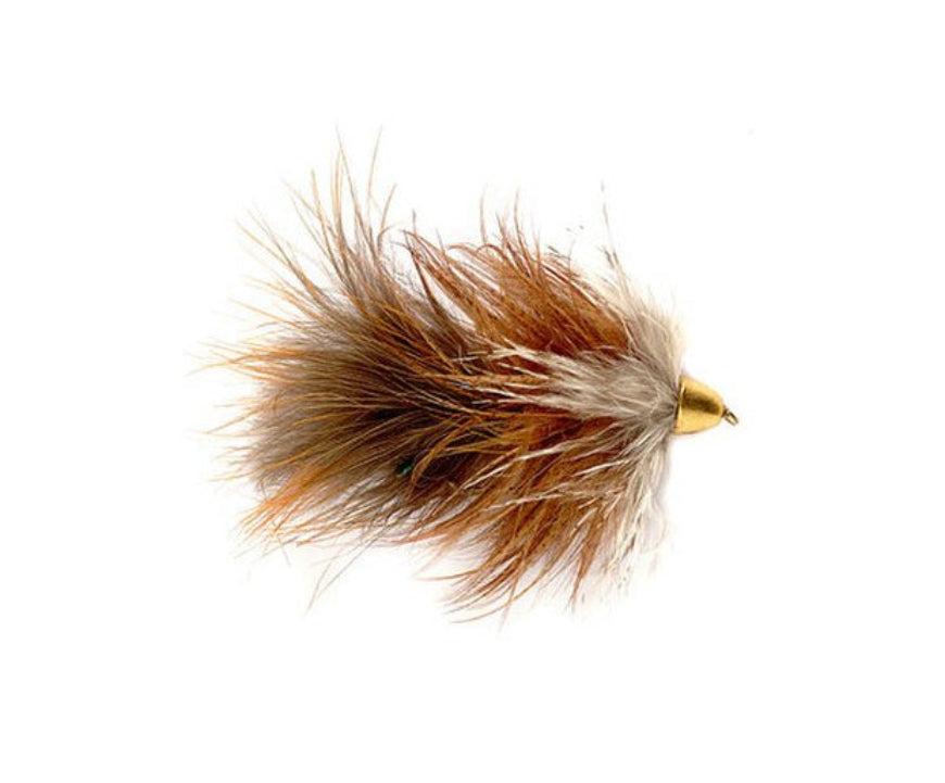 Conehead Moto's Minnow