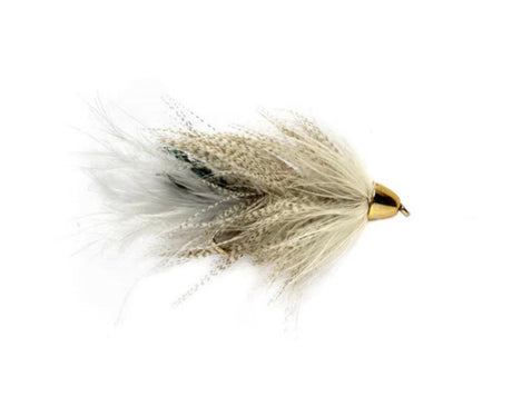 Conehead Moto's Minnow