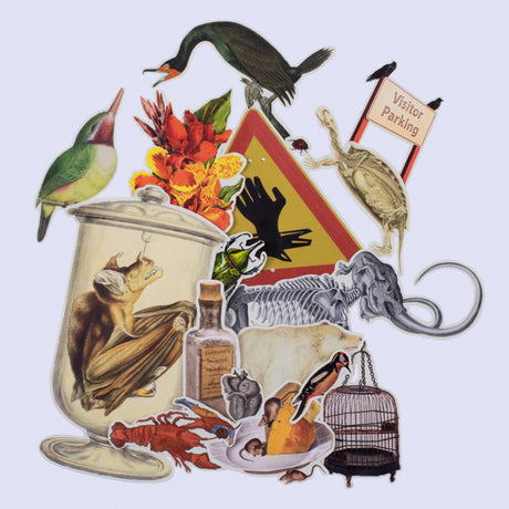 'Cut Up This Book and Create Your Own Underworld' by Eliza Scott