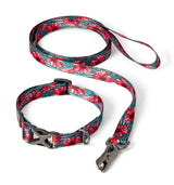 X Fishe Wear Dog Leash - SALE
