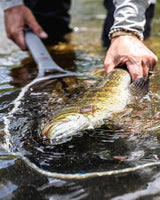 Daymaker Boat Net - Short Handle