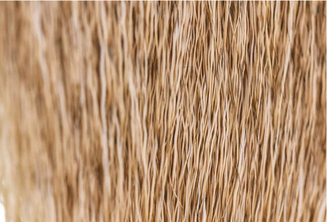 Elk Body Hair