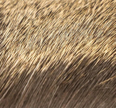 Elk Body Hair