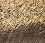Elk Body Hair