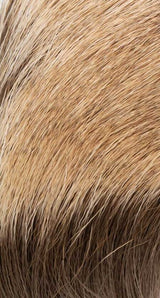 Elk Body Hair