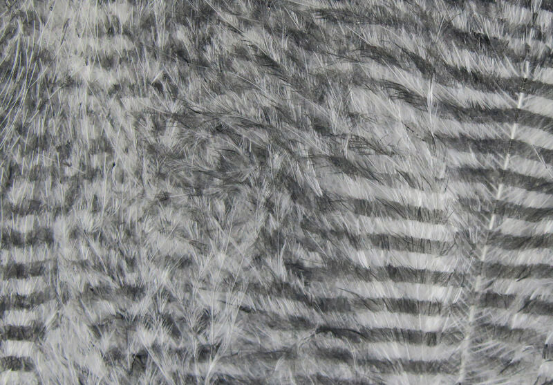 Fine Black Barred Marabou Feathers