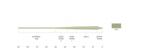 Frequency Trout GP