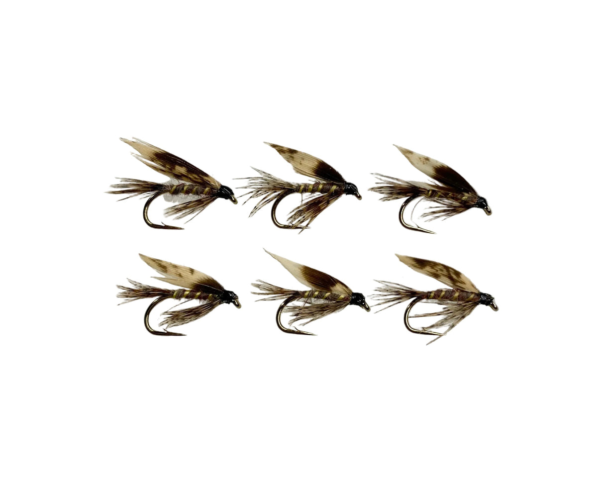 GRHE Wet - 1/2 dozen