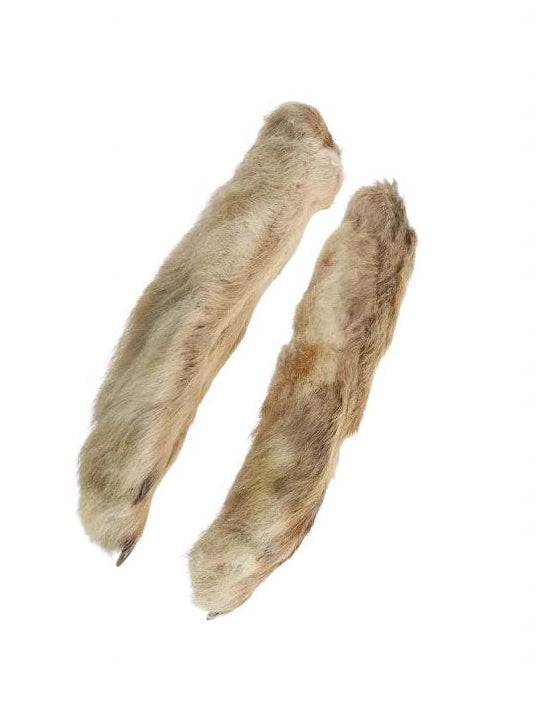 Hares Feet