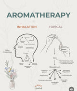 Lavender Essential Oil - 100% Natural