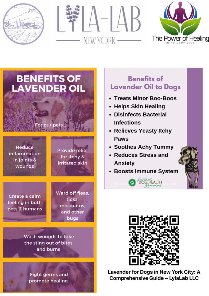 Lavender Essential Oil - 100% Natural