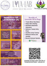 Lavender Essential Oil - 100% Natural