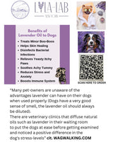 Lavender Essential Oil - 100% Natural